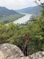 06 IMG 20260802 WA0043 Blick Auf Die Donau