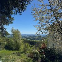 17 MG 20260501 WA0006 BWV FRG Wanderung 1st Mai HarsdorferSteig