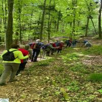 02 Vlcsnap 00003  BWV FRG Wanderung 1st Mai HarsdorferSteig
