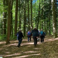 03 IMG 20260501 WA0008 BWV FRG Wanderung 1st Mai HarsdorferSteig